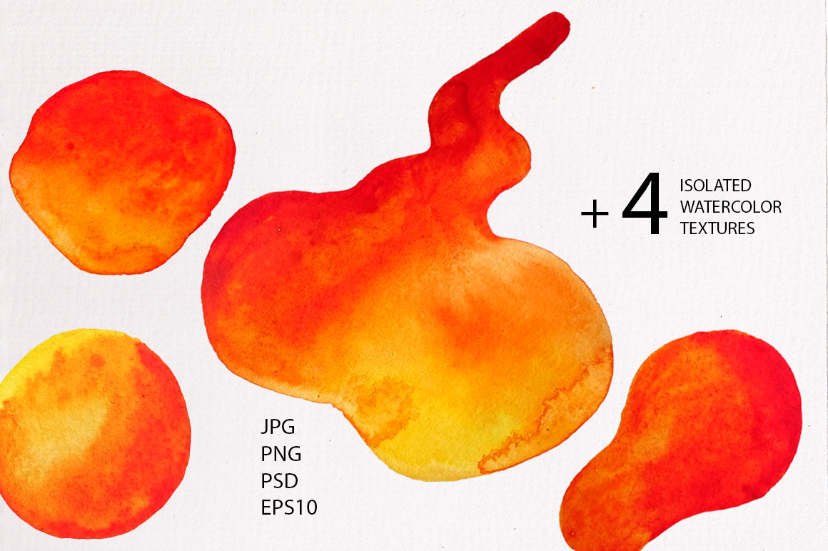 Watercolor Sea Buckthorn Watercolor Sea Buckthorn