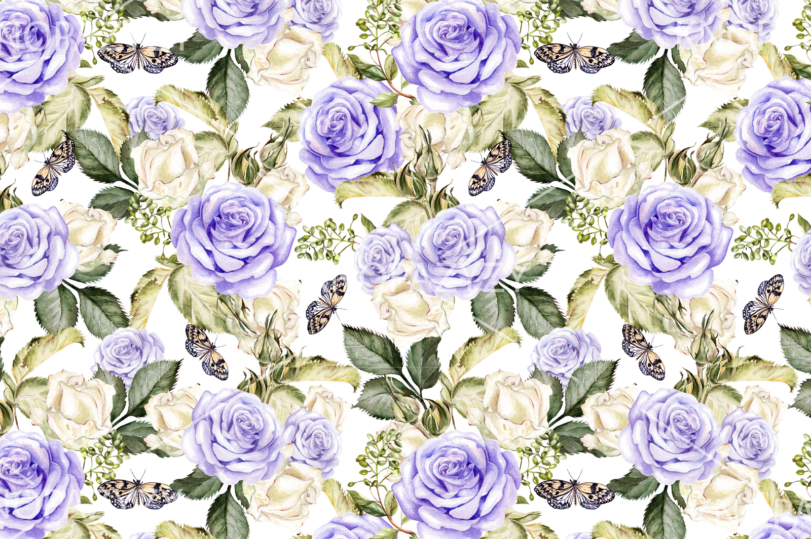 Hand drawn watercolor ROSES 3 Hand drawn watercolor ROSES 3