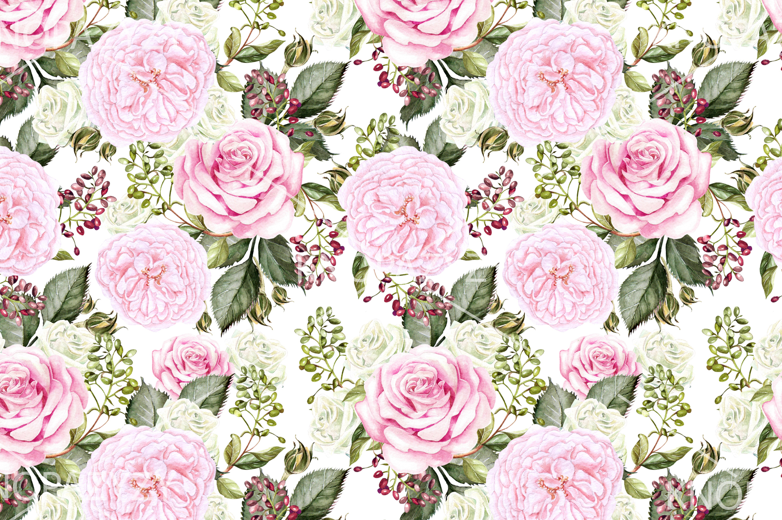 Hand drawn watercolor ROSES 3 Hand drawn watercolor ROSES 3