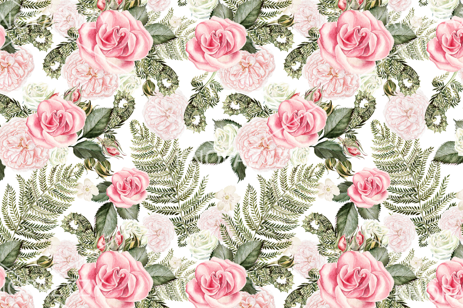 Hand drawn watercolor ROSES 3 Hand drawn watercolor ROSES 3