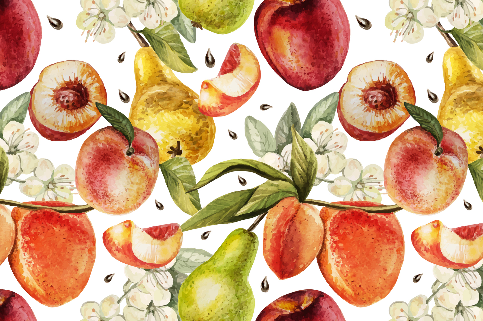 Hand Drawn Watercolor PEACH Hand Drawn Watercolor PEACH
