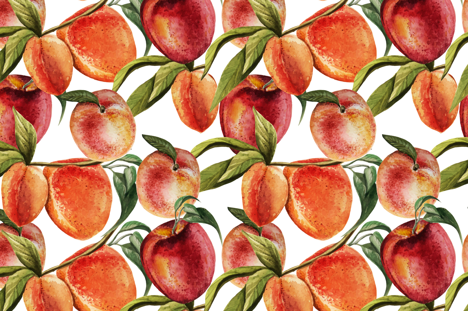 Hand Drawn Watercolor PEACH Hand Drawn Watercolor PEACH