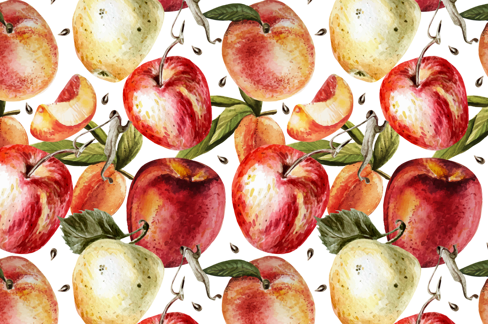 Hand Drawn Watercolor PEACH Hand Drawn Watercolor PEACH