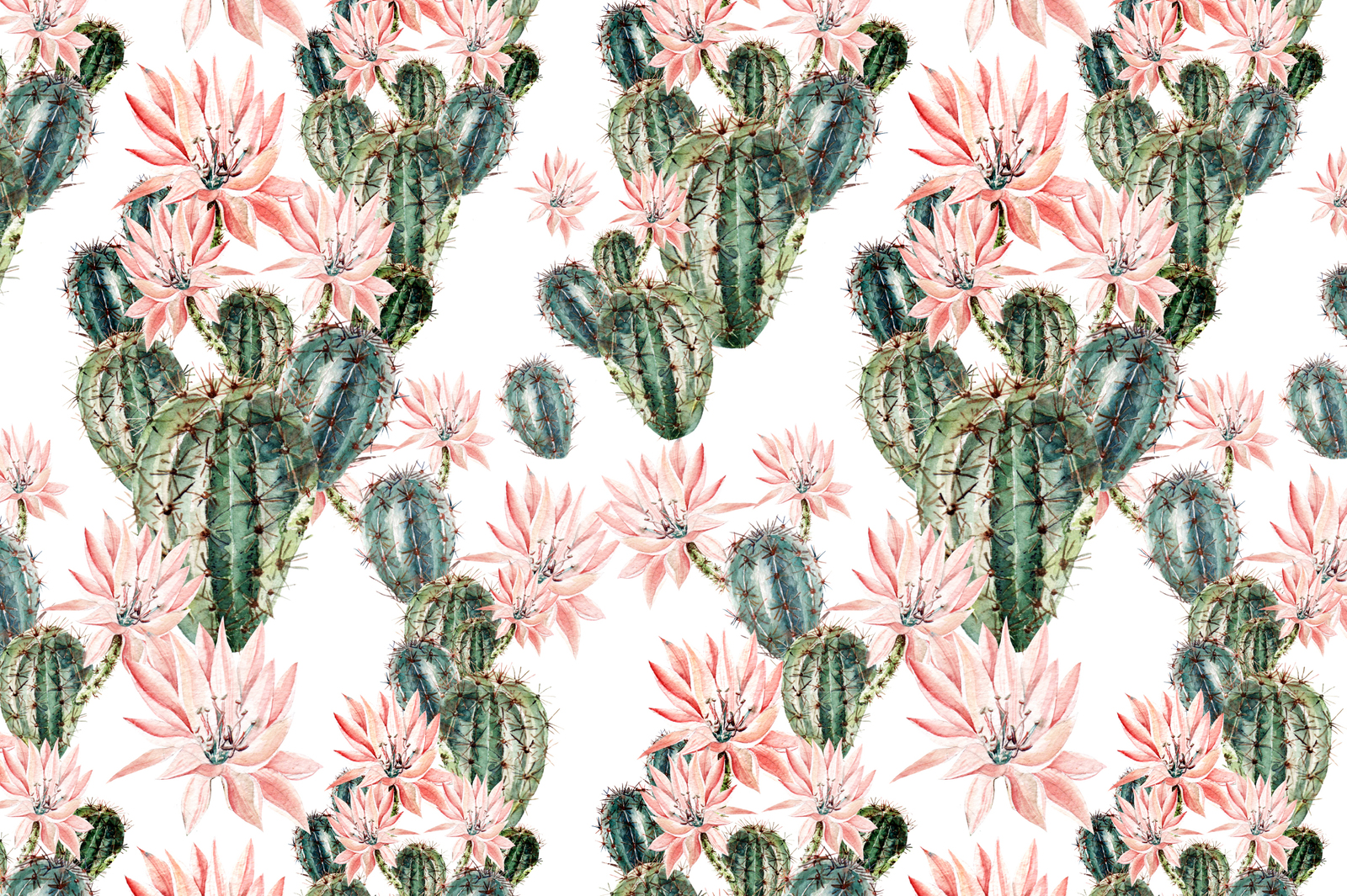 Watercolor SUCCULENTS &amp; CACTUSES