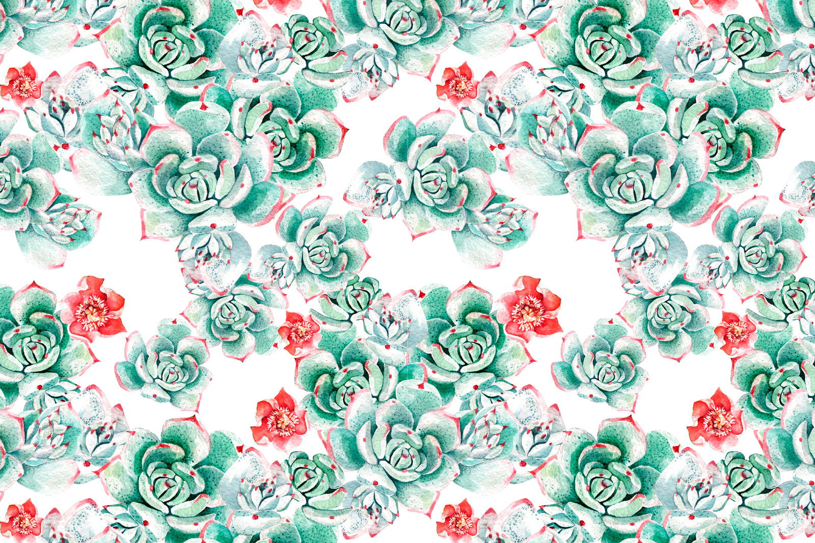 Watercolor SUCCULENTS & CACTUSES Watercolor SUCCULENTS & CACTUSES