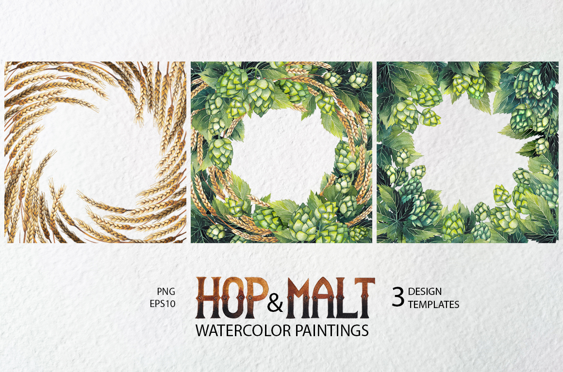 Watercolor hop and malt