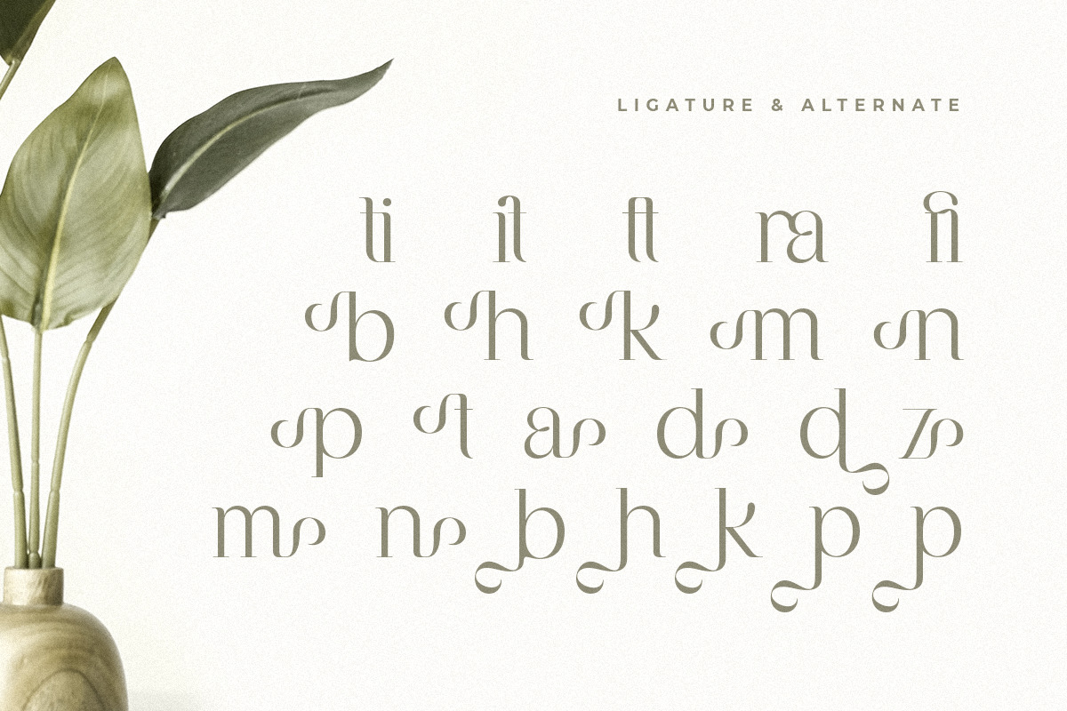 Balfira - Classic Modern Font