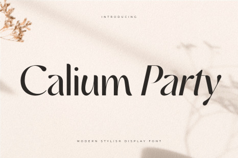 Calium Party – Modern Stylish Display Font - Alternative font