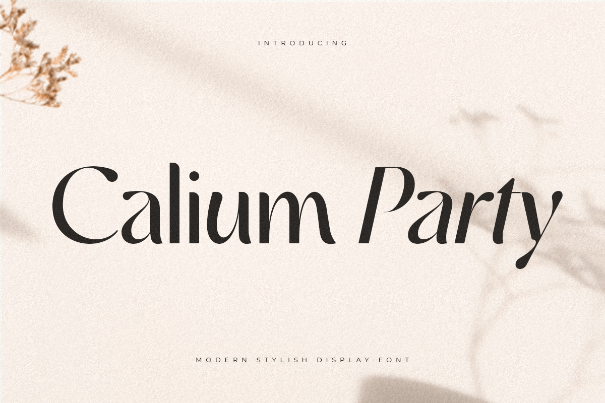 Calium Party – Modern Stylish Display Font