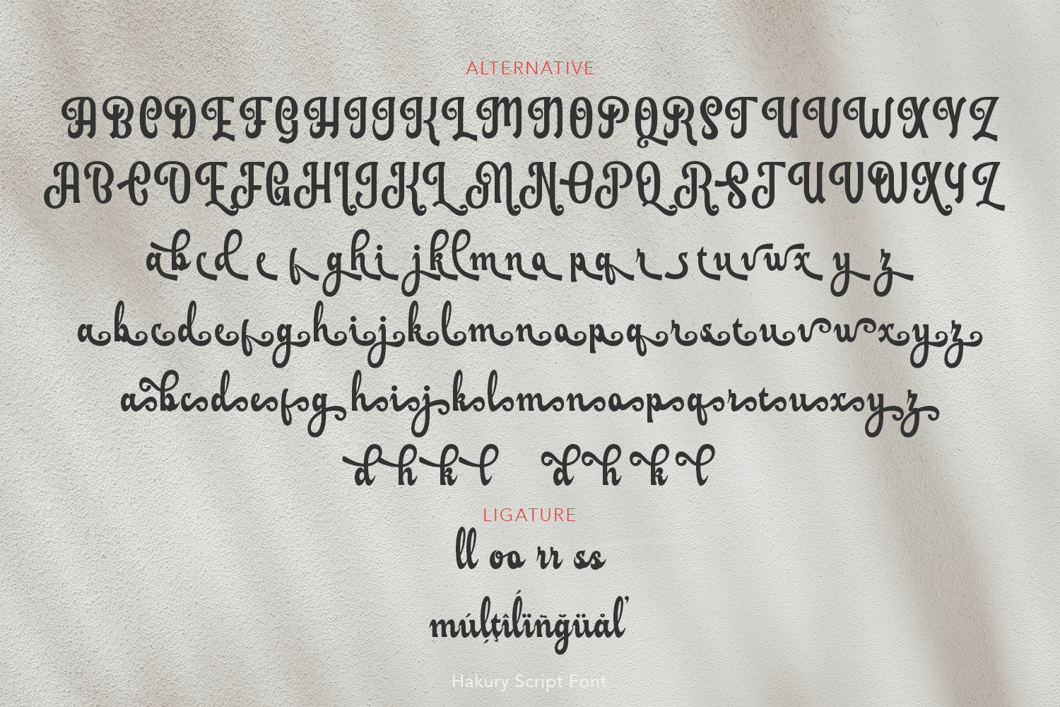 Hakury Script Hakury Script
