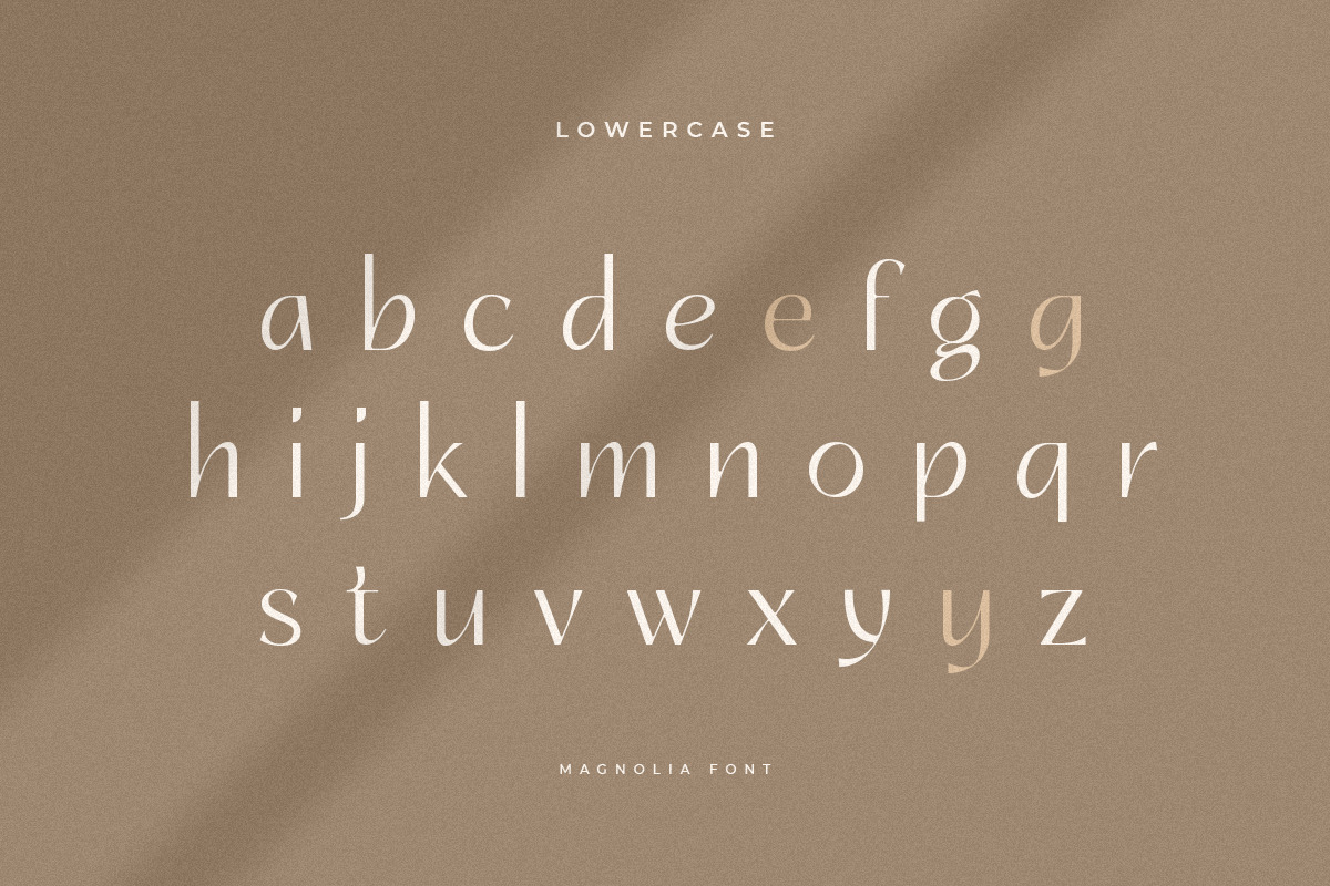 Crimson - Elegant Ligature Font Crimson - Elegant Ligature Font