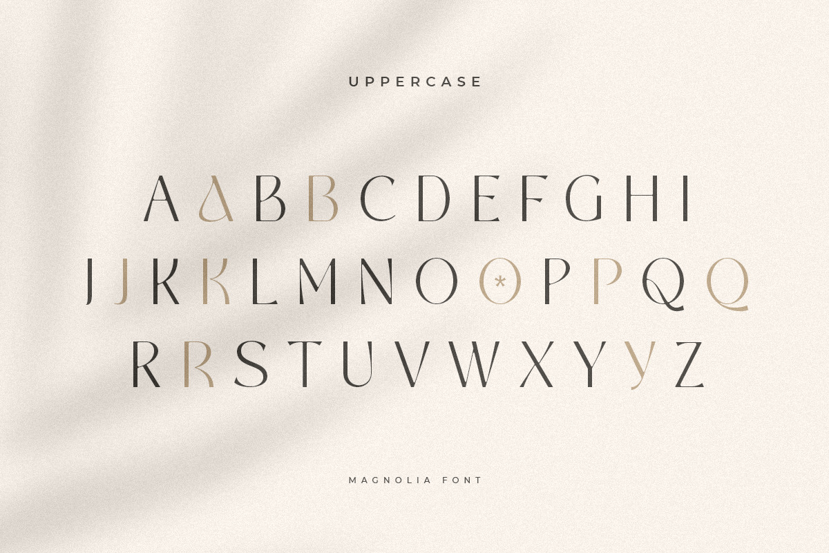 Crimson - Elegant Ligature Font Crimson - Elegant Ligature Font