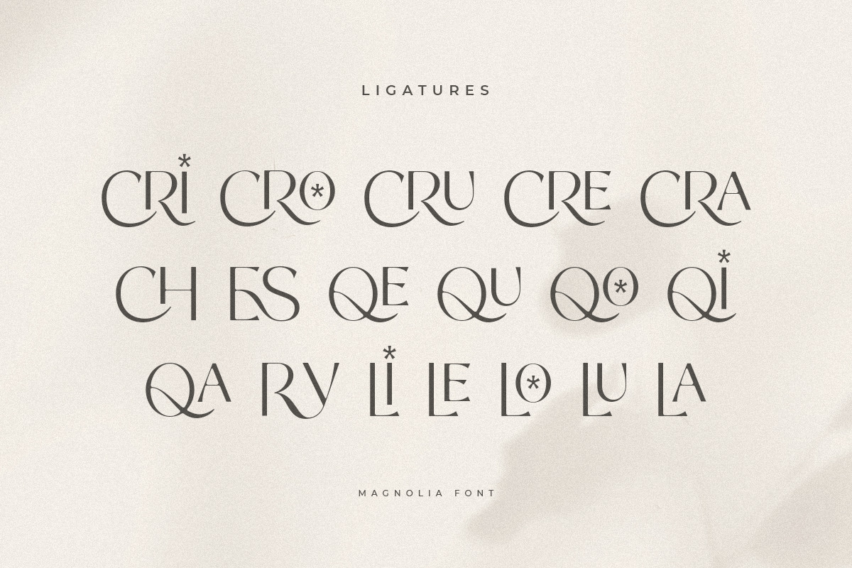 Crimson - Elegant Ligature Font Crimson - Elegant Ligature Font