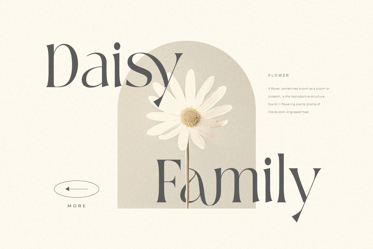Grateful - Ligature Luxury Modern Serif Font Grateful - Ligature Luxury Modern Serif Font