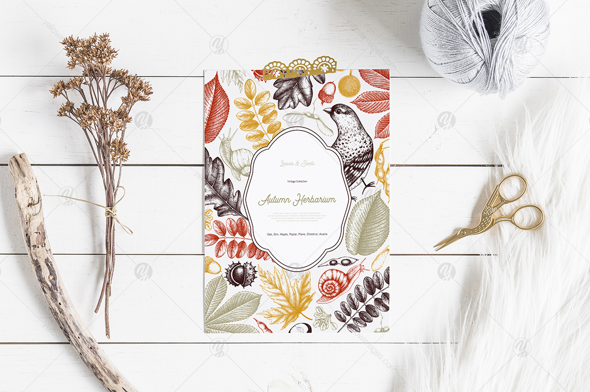 Vintage Autumn Herbarium Vintage Autumn Herbarium