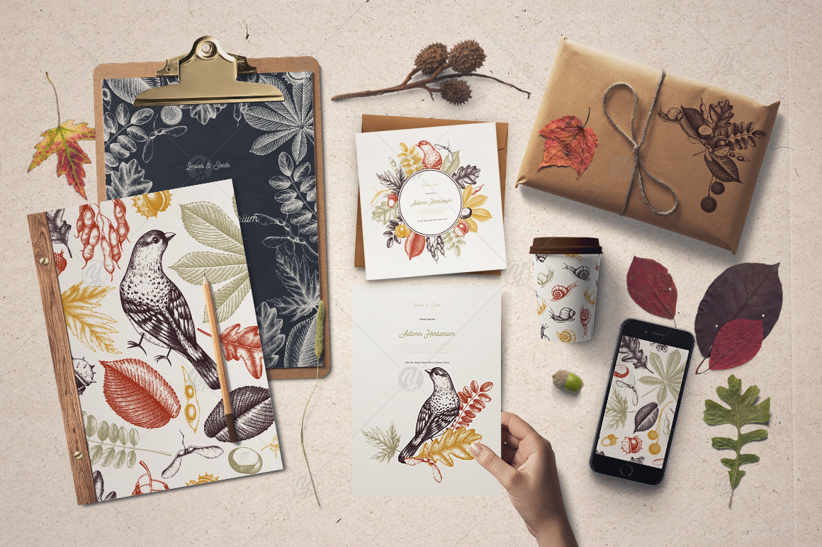 Vintage Autumn Herbarium Vintage Autumn Herbarium