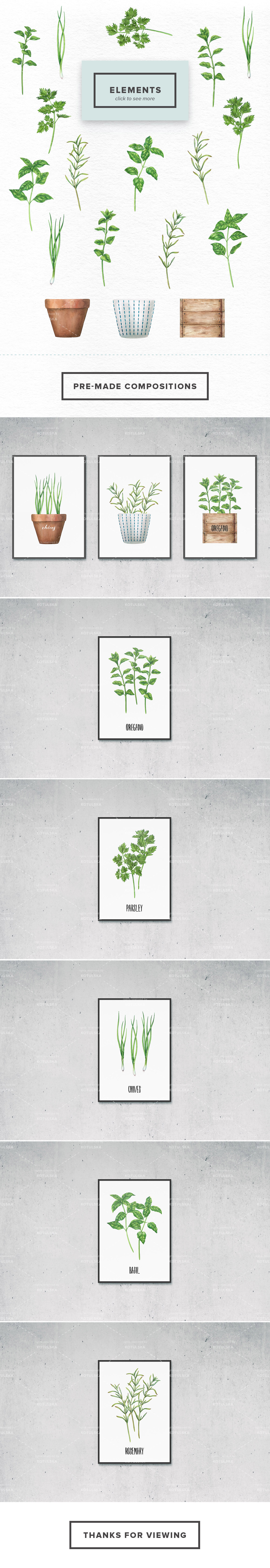 Watercolor Culinary Herbs Watercolor Culinary Herbs