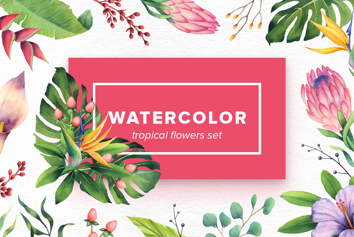 Watercolor Tropical Flowers Set Watercolor Tropical Flowers Set