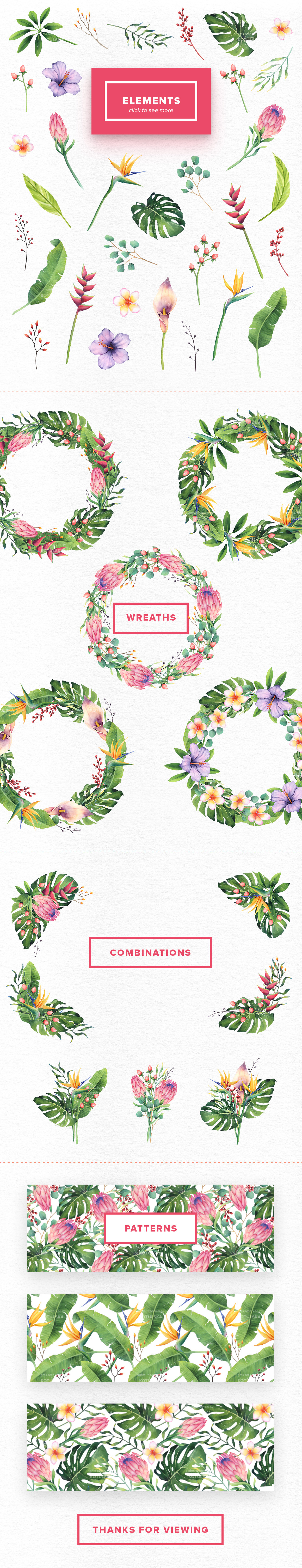 Watercolor Tropical Flowers Set Watercolor Tropical Flowers Set