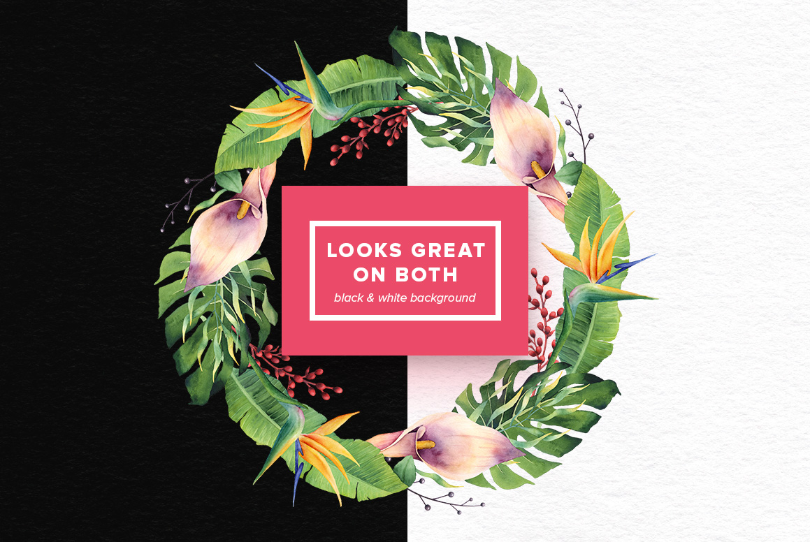 Watercolor Tropical Flowers Set Watercolor Tropical Flowers Set