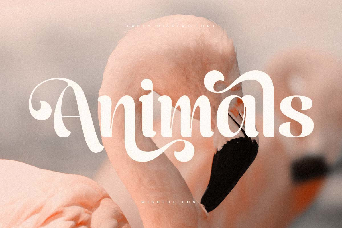 Wishful – Fancy Beauty Display Font Wishful – Fancy Beauty Display Font