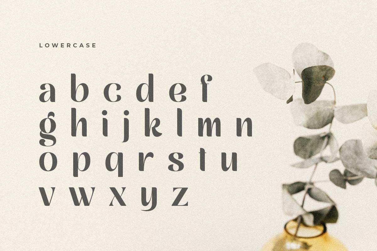 Mikayla Modern Display Font Mikayla Modern Display Font