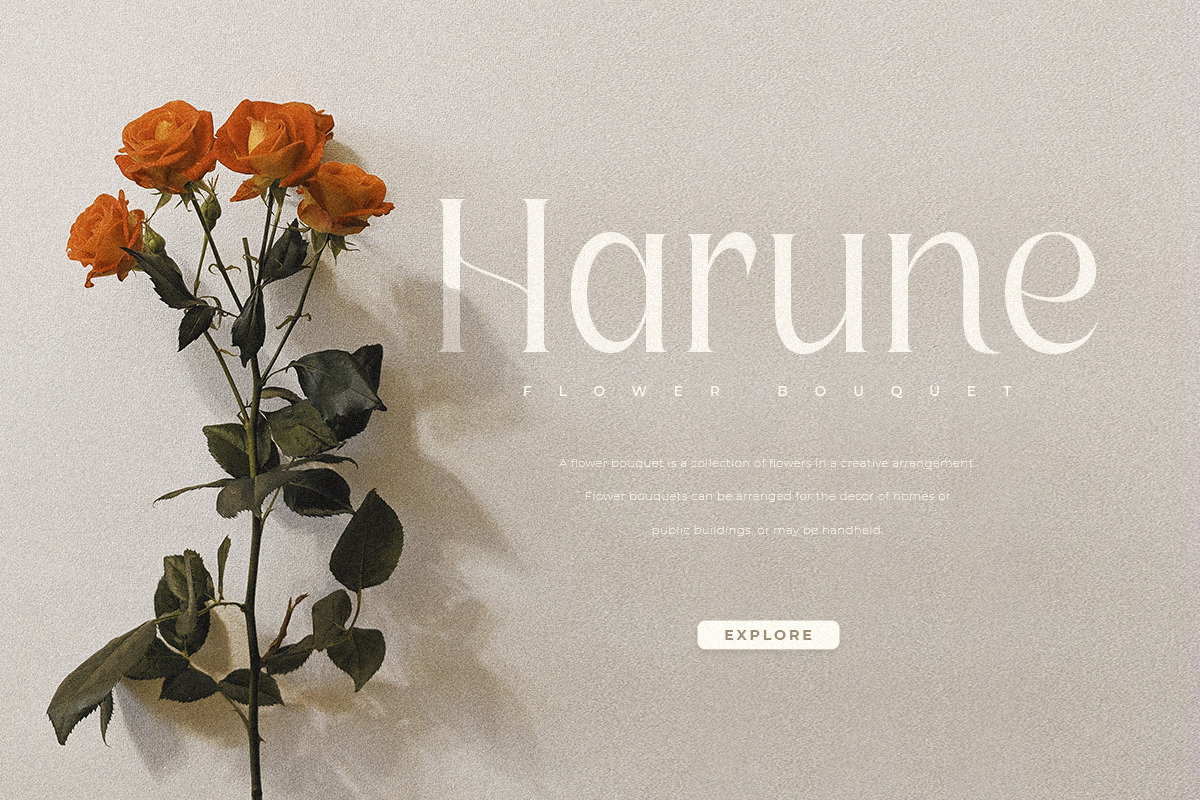 Ethnic - Luxury Modern Beauty Serif Font