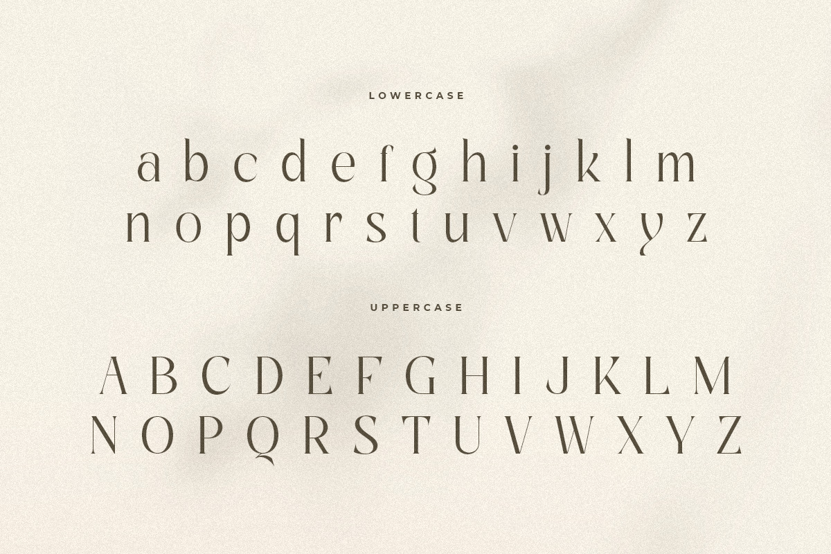 Ethnic - Luxury Modern Beauty Serif Font