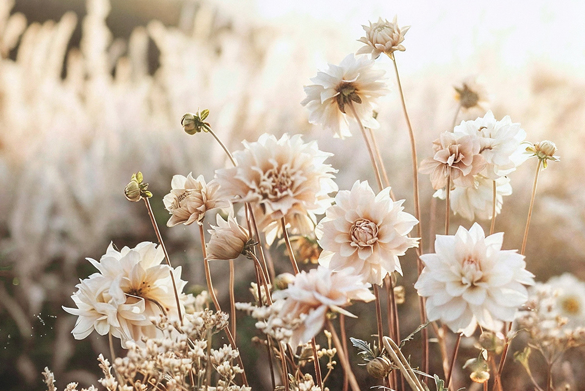 Beige lifestyle - 172 images Beige lifestyle - 172 images