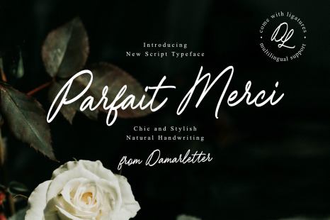 Parfait Merci handwriting script - Handwritten script