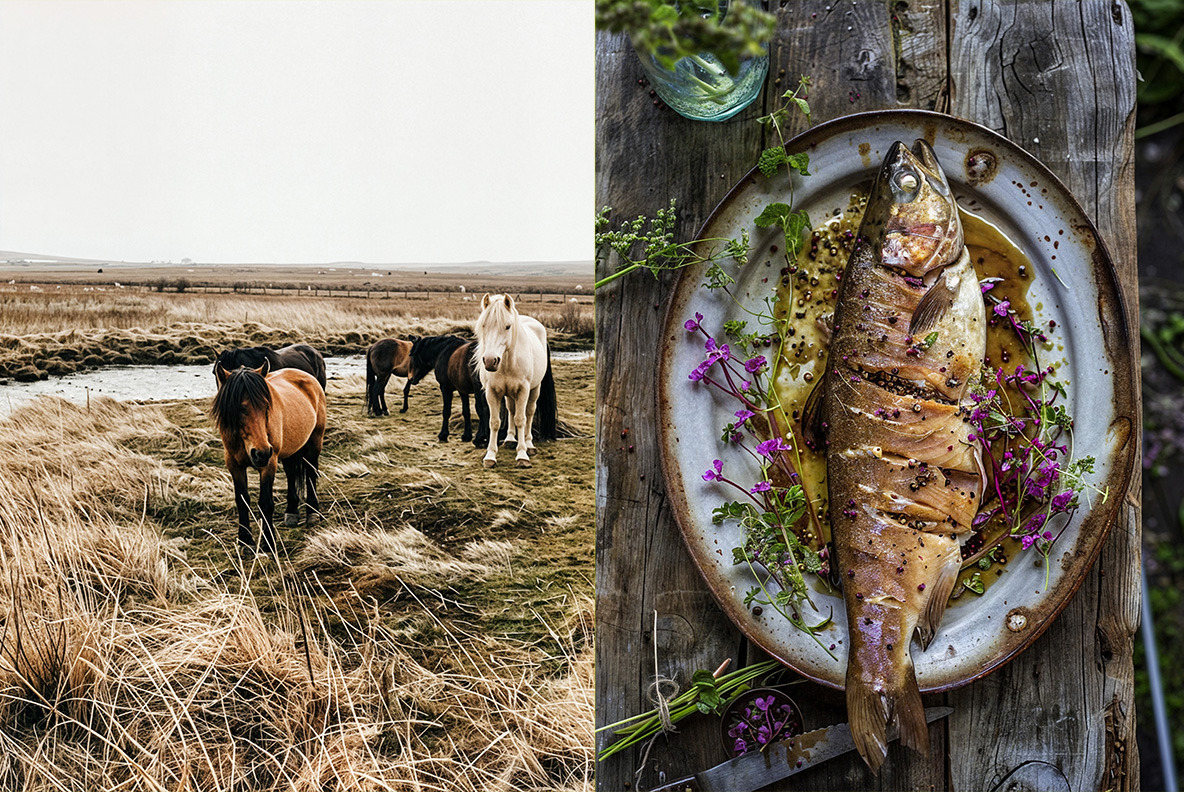 Scandinavian lifestyle - 275 images Scandinavian lifestyle - 275 images