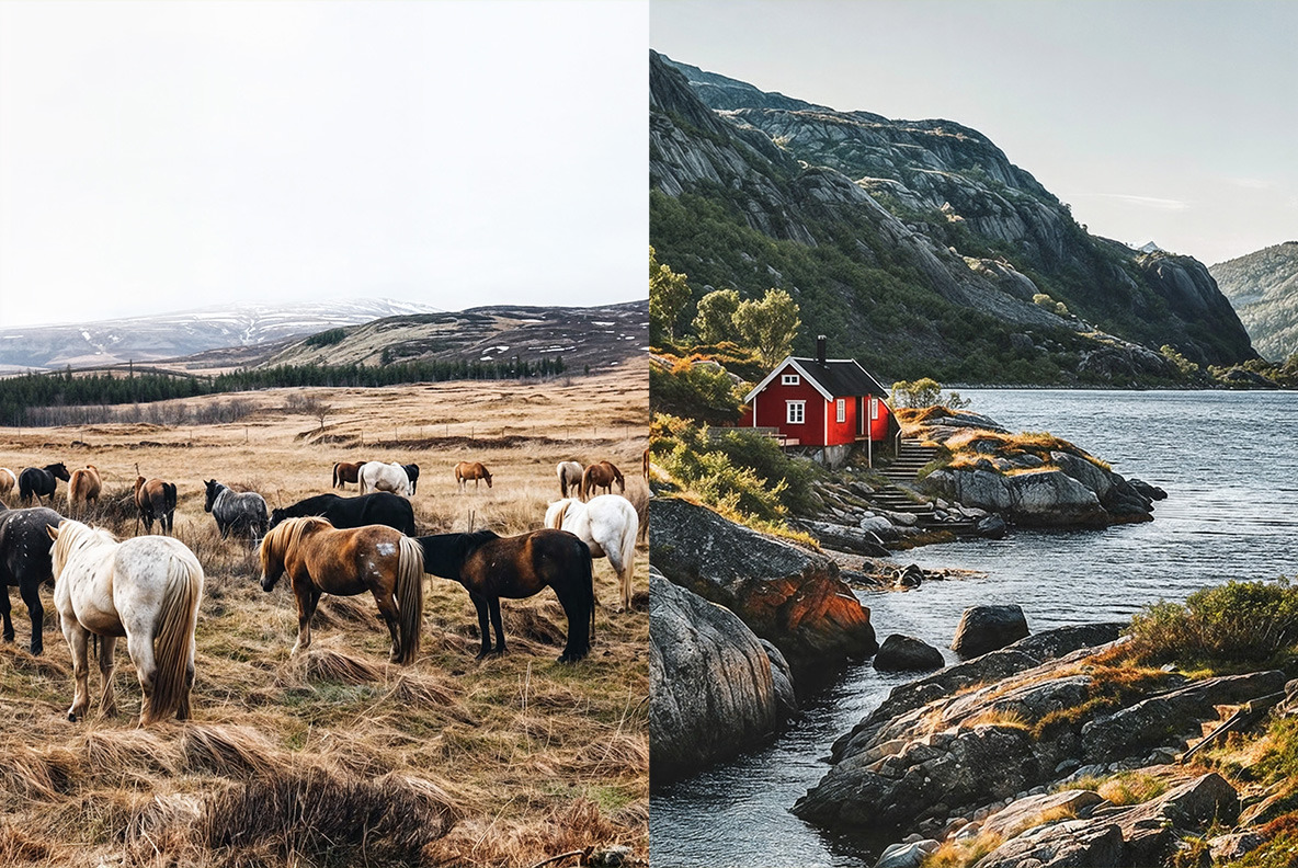 Nordic Lifestyle - 278 images Nordic Lifestyle - 278 images