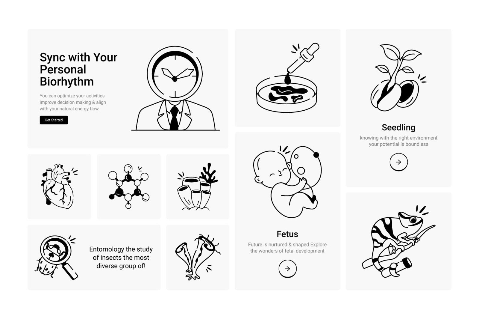 Biology Doodles Icons Set Biology Doodles Icons Set
