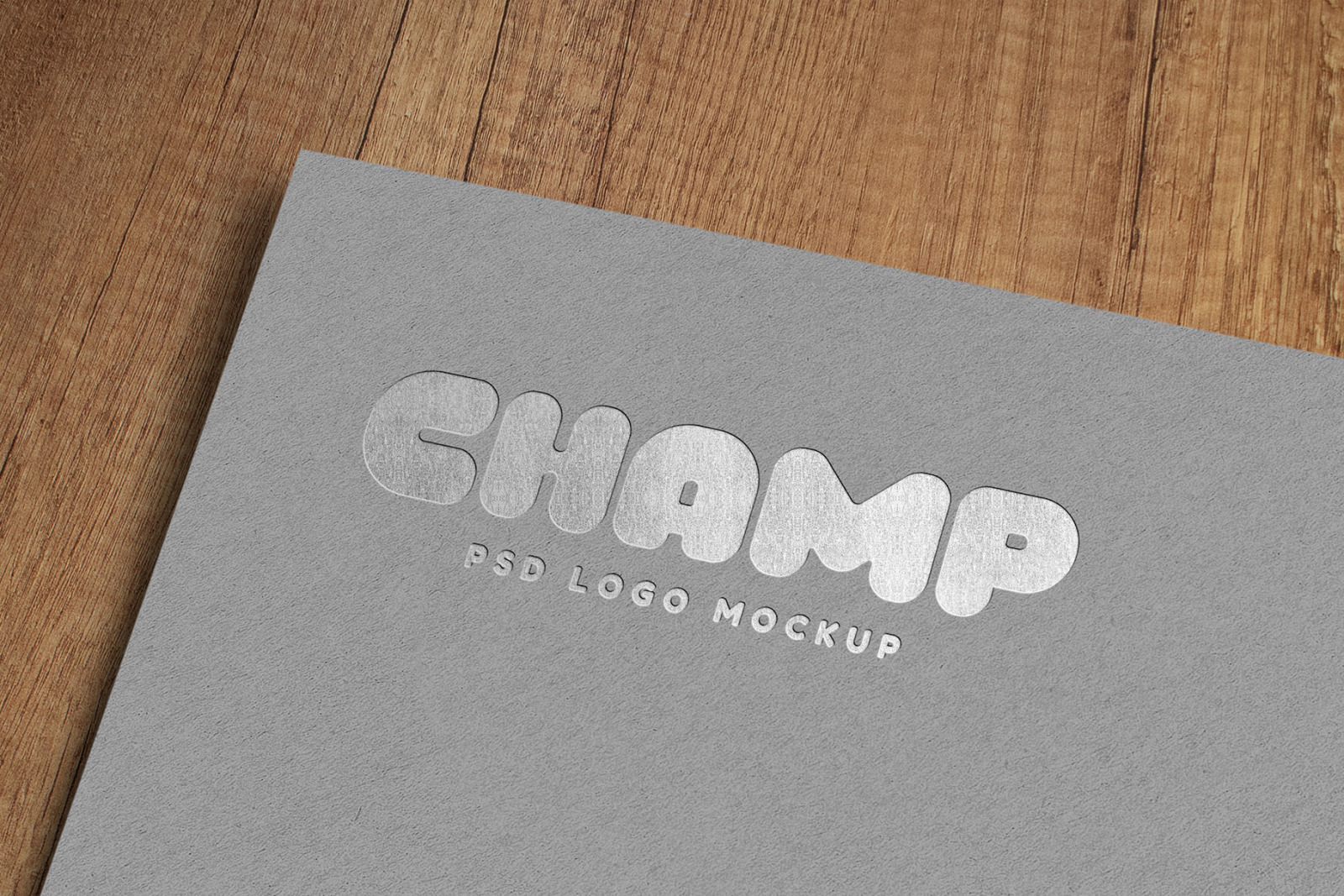 Logo Mockups Vol.5 Logo Mockups Vol.5