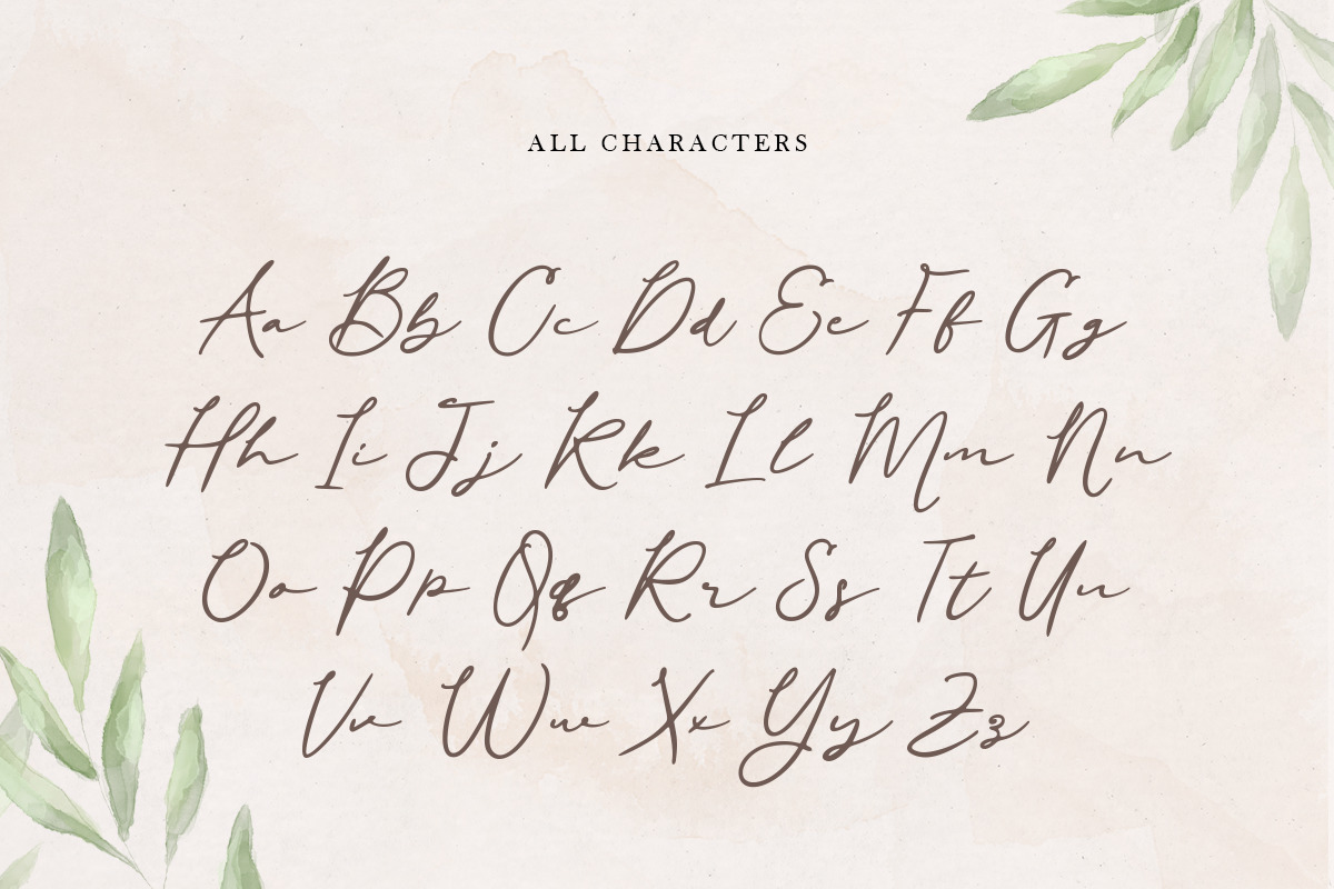 Befira - Feminine and Beauty Script font