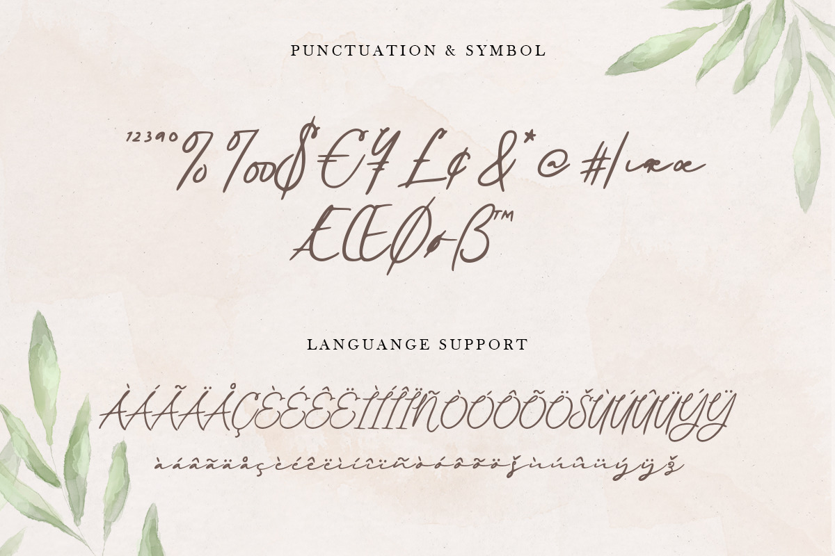 Befira - Feminine and Beauty Script font