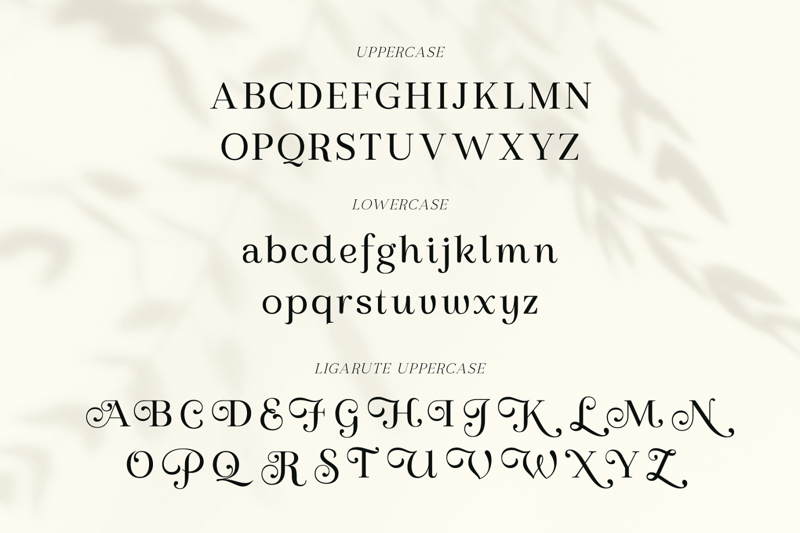 Regal Legacy - Elegant Typeface Regal Legacy - Elegant Typeface