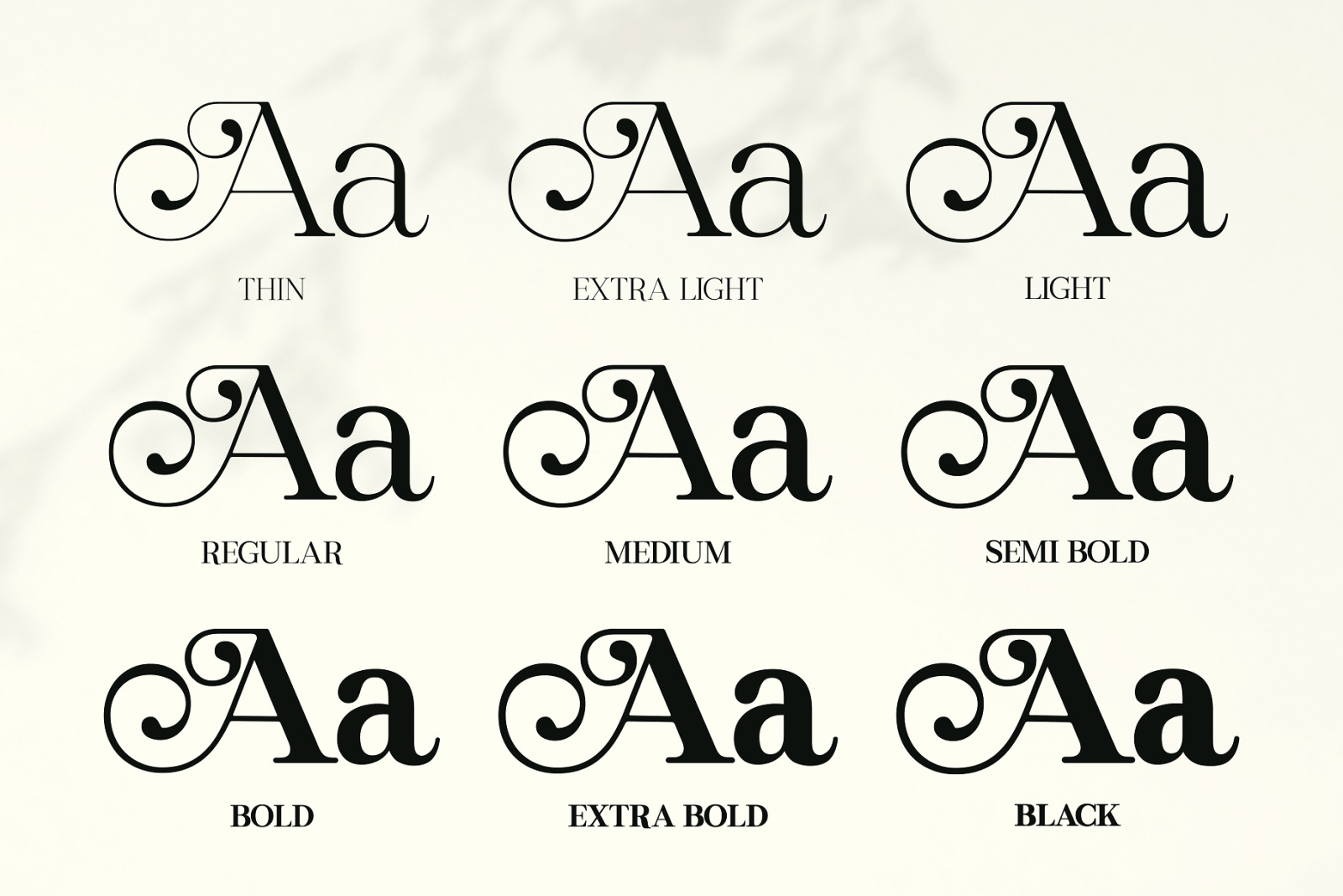 Regal Legacy - Elegant Typeface Regal Legacy - Elegant Typeface