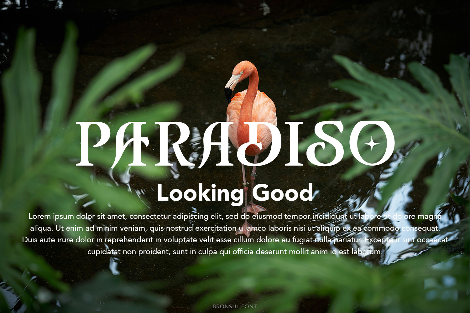 Bronsul Display Serif Font Bronsul Display Serif Font