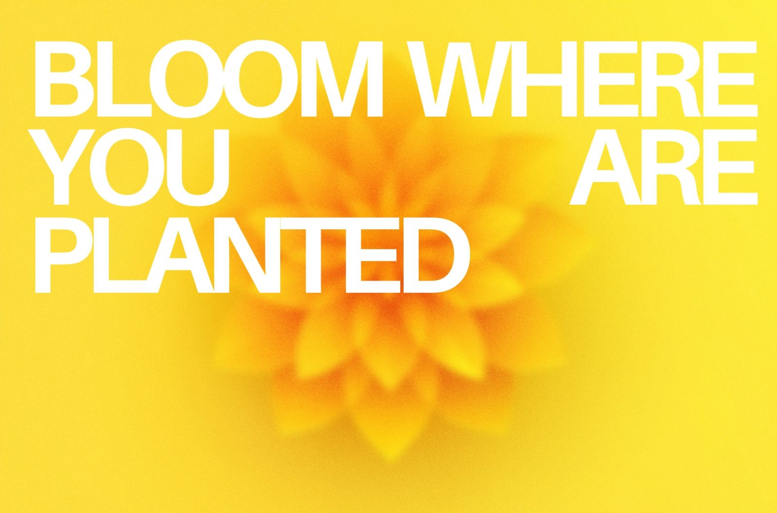 30 Exotic Gradient Textures 30 Exotic Gradient Textures