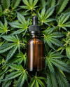 CBD Oil Dropper on a Hemp Leaves Mockup