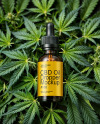 CBD Oil Dropper on a Hemp Leaves Mockup