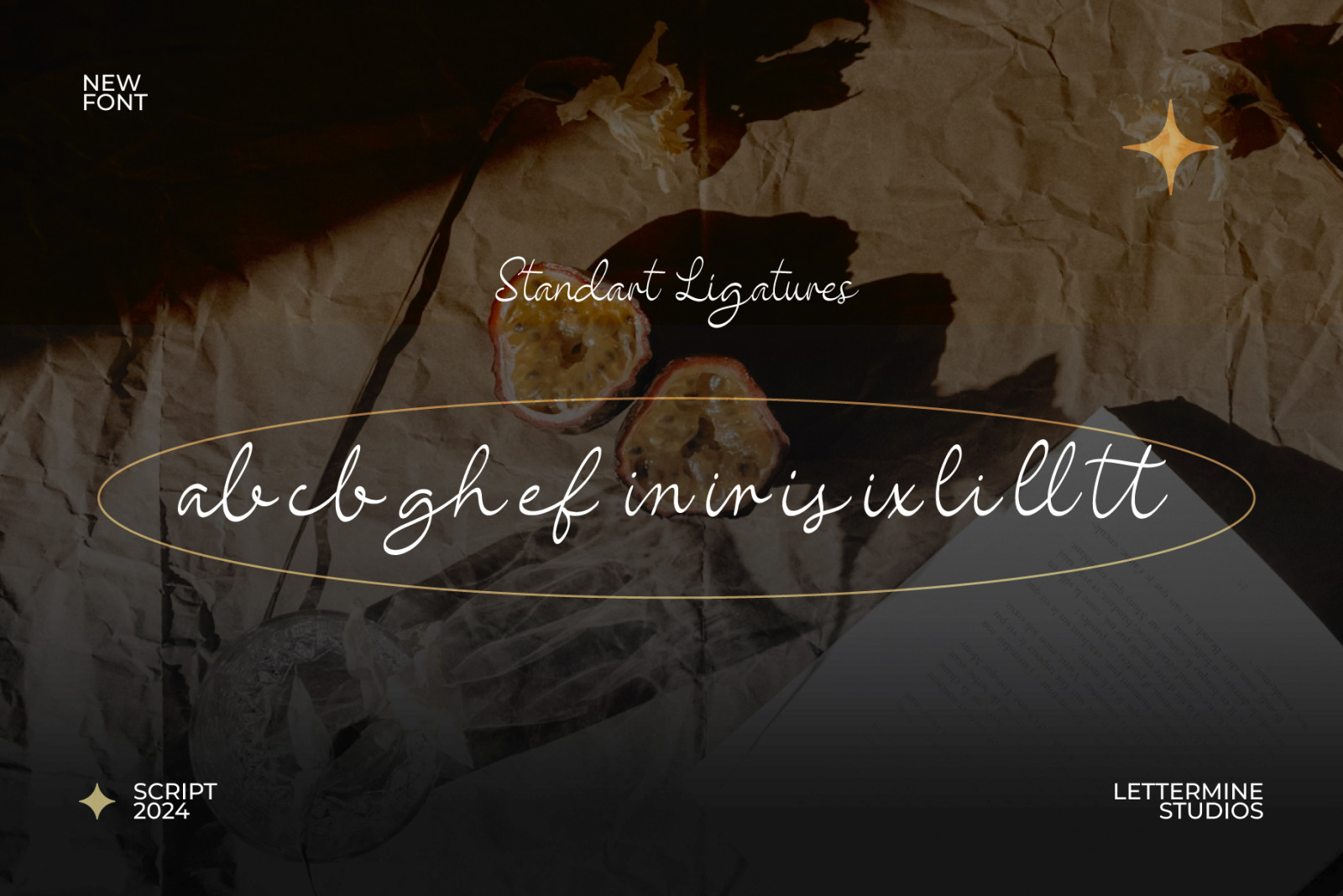 Ballenoa - Script Handwritten Ballenoa - Script Handwritten