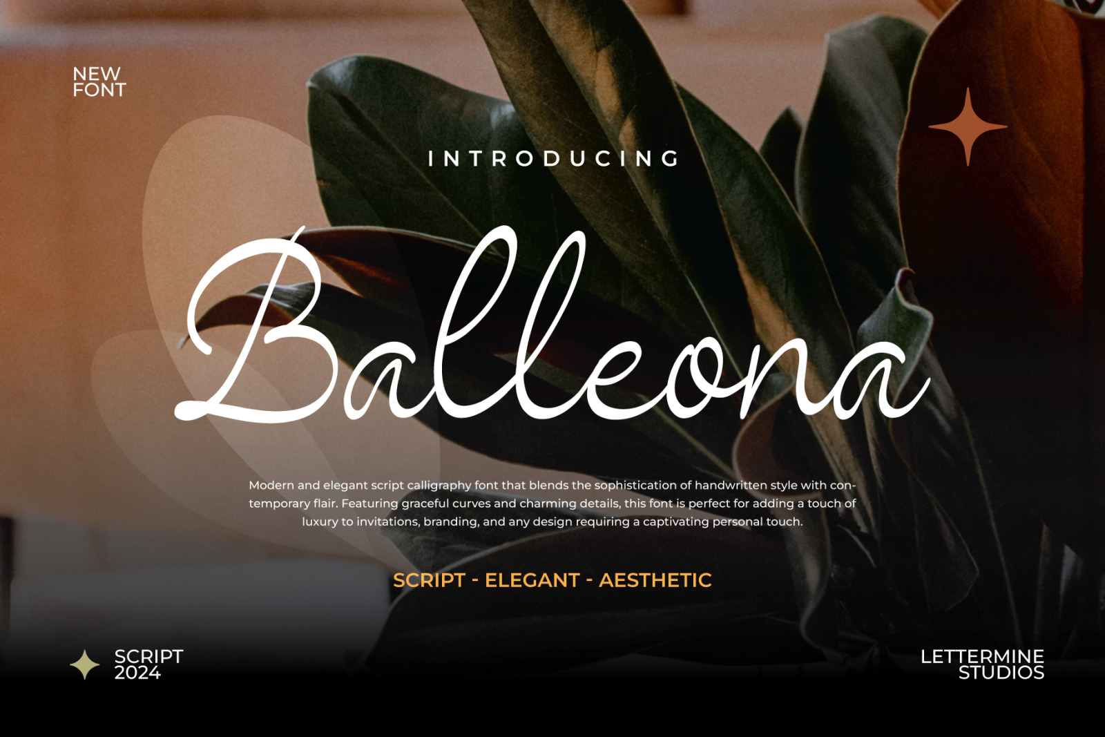 Ballenoa - Script Handwritten Ballenoa - Script Handwritten