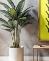 Wooden Framed Poster in a Room with Plants Mockup