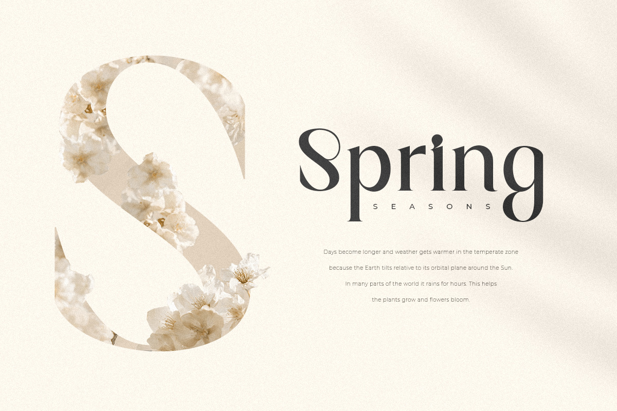 Magnolia - Modern Display Serif Font Magnolia - Modern Display Serif Font