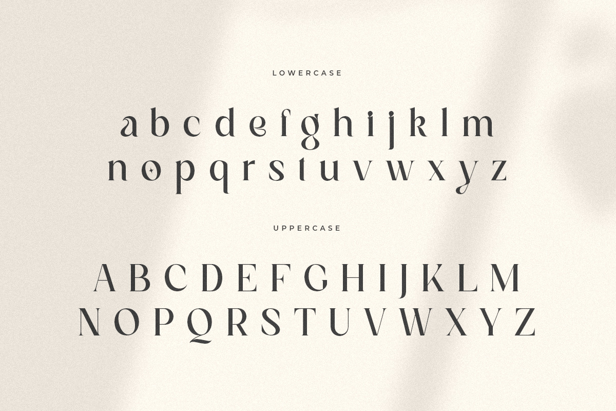 Magnolia - Modern Display Serif Font Magnolia - Modern Display Serif Font