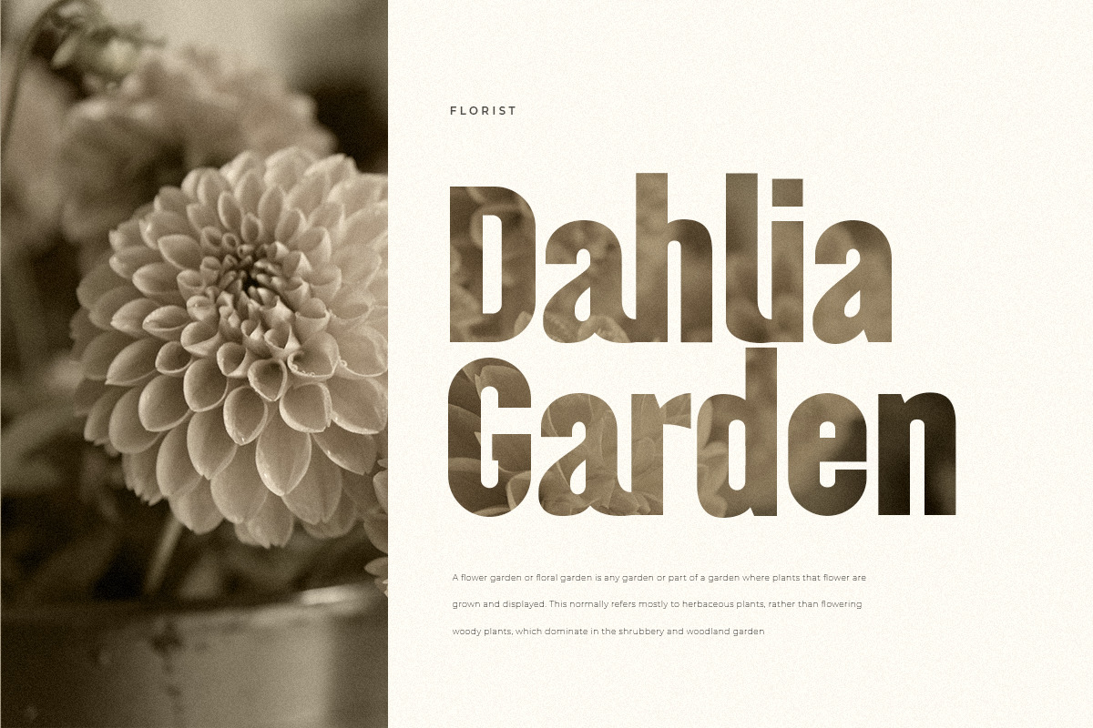 Anything - Inspired by Helvetica Font Anything - Inspired by Helvetica Font