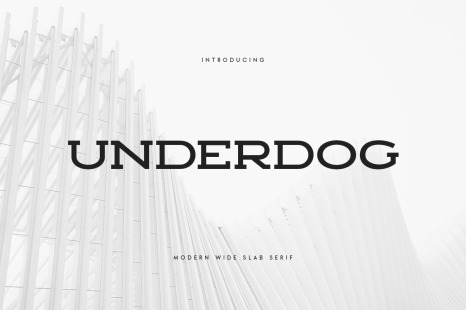 UNDERDOG - Modern Wide Slab Serif - Bold display font