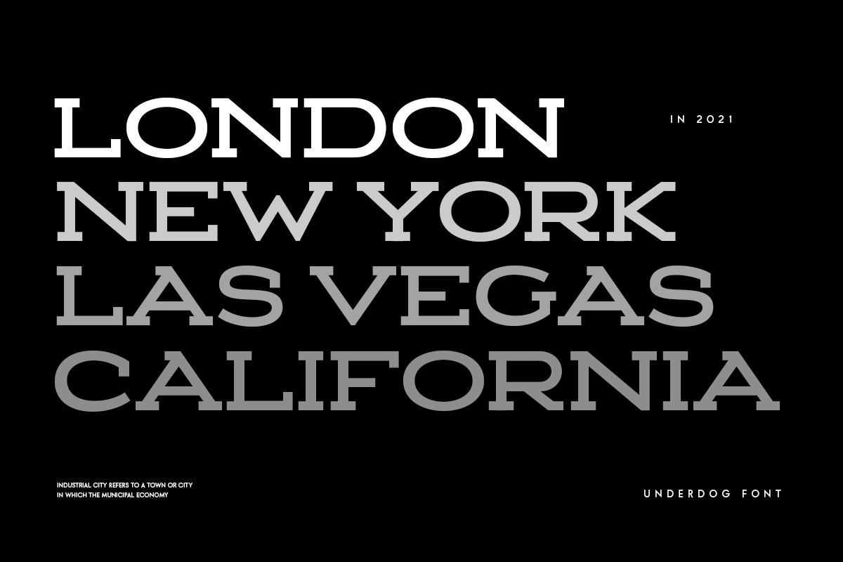 UNDERDOG - Modern Wide Slab Serif UNDERDOG - Modern Wide Slab Serif